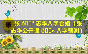 张 🌳 志华八字合婚（张志华公开课 🌻 八字预测）